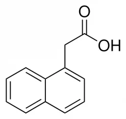 1-Нафтилуксусная кислота (NAA)