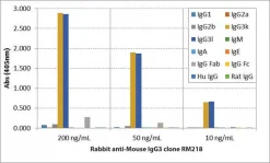 Антитело к IgG3 мыши (биотин), моноклональное кроличье, клон RM218