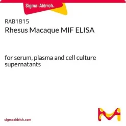Набор ELISA для MIF (фактор ингибирования миграции макрофагов) макака-резуса