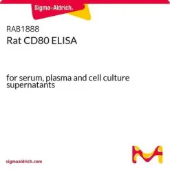 ELISA набор для CD80 крысы