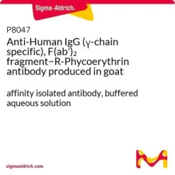 Антитело козы против человеческого IgG (γ-цепь), фрагмент F(ab')2, конъюгированное с R-фикоэритрином