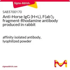 Антитела к IgG лошади (H+L), F(ab')2 фрагмент-родамин