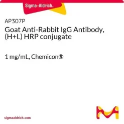 Козьи антитела против кроличьего IgG (H+L) с конъюгатом пероксидазы хрена