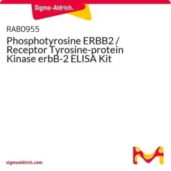 Набор ELISA для определения фосфотирозина ERBB2