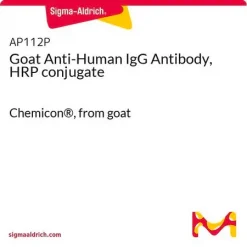 Козьи антитела против человеческого IgG, HRP конъюгат