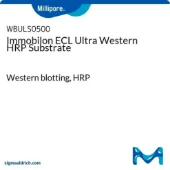 Субстрат Immobilon ECL Ultra для вестерн-блоттинга (HRP)