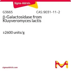 β-Галактозидаза из Kluyveromyces lactis