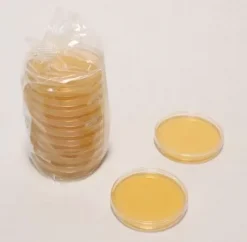 Агар Listeria