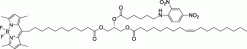 18:1-6:0 DNP-C11 TopFluor™ TG, флуоресцентный триглицерид