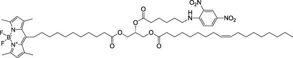 18:1-6:0 DNP-C11 TopFluor™ TG, флуоресцентный триглицерид