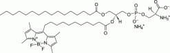 TopFluor™ PS — флуоресцентный фосфолипид