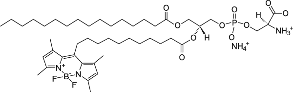 TopFluor™ PS — флуоресцентный фосфолипид