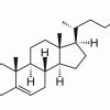 DMHCA (25-гидроксихолестерин-3-сульфат, липид)