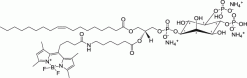 TopFluor™ PI(4,5)P2, флуоресцентный фосфолипид