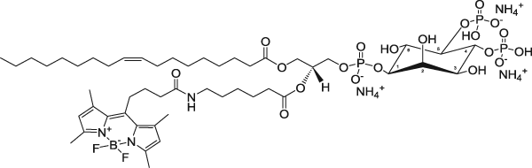 TopFluor™ PI(4,5)P2, флуоресцентный фосфолипид