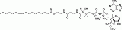 17:1 (n7) Коэнзим A
