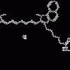 Цианиновый краситель Cyanine 7.5 с малеимидной группой