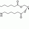 TopFluor™ PI, флуоресцентный фосфолипид