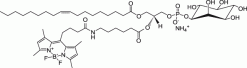 TopFluor™ PI, флуоресцентный фосфолипид