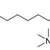 C12 Карнитин