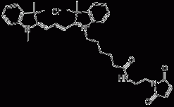 Цианиновый краситель Cyanine 3 maleimide