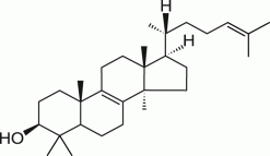Ланостерол, >95%, CAS 79-63-0