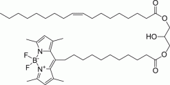 18:1-C11 TopFluor™ DG, флуоресцентный липид