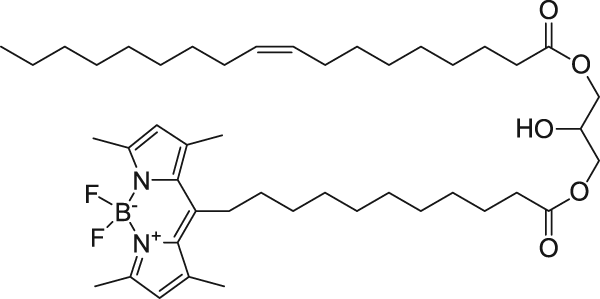 18:1-C11 TopFluor™ DG, флуоресцентный липид