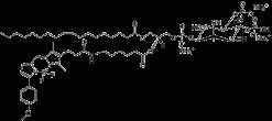 TopFluor™ TMR PI(4,5)P2, флуоресцентный фосфолипид