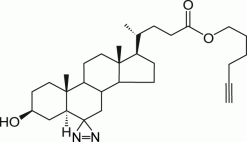 PhotoClick Cholesterol — фотореактивный стерол для клик-химии