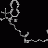 Cyanine3.5 DBCO, флуоресцентный зонд