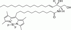 C11 TopFluor™ Церамид