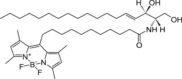 C11 TopFluor™ Церамид