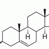 DHEA (дегидроэпиандростерон), природный стероид, >99%
