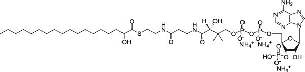 18:0(α-OH) Кофермент A