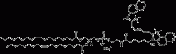 18:1 Cyanine 5.5 PE (фосфатидилэтаноламин с цианином 5.5)