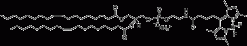 18:1 TopFluor™ PE (181TFPE)