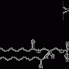 16:0 Liss Rhod PE (Lissamine Rhodamine B-фосфатидилэтаноламин)