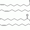 Кардиолипин Heart CA (CAS 383907-10-6)