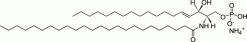 C24 Ceramide-1-Phosphate (d18:1/24:0)