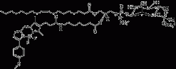 TopFluor™ TMR PI(3)P, флуоресцентный фосфолипид