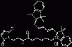 Цианиновый краситель Cyanine 5 Maleimide