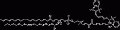 18:1 Cyanine 5 PC (Cyanine 5-фосфатидилхолин)