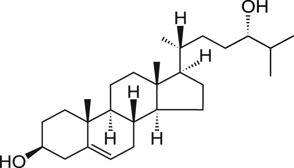 24(S)-гидроксихолестерин