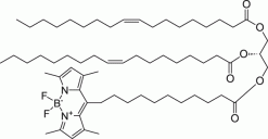 18:1-18:1-C11 TopFluor™ TG, флуоресцентный триглицерид