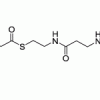 16:1 (n7) Коэнзим A