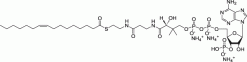 16:1 (n7) Коэнзим A