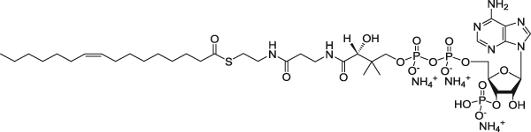 16:1 (n7) Коэнзим A