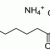 N-P Tyrosine PA (N-пальмитоил-тирозинфосфатидная кислота), липид