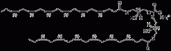 22:6 BMP (R,R), липид
